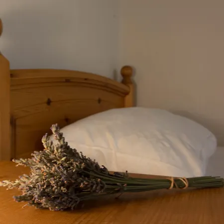 Ducky's Restaurant | Events | 호텔 3*