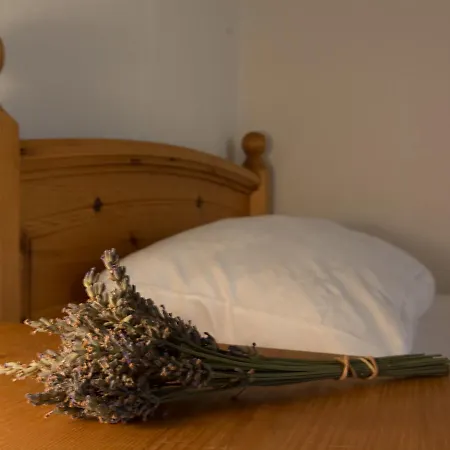 酒店 Ducky's Restaurant | Events | 3*