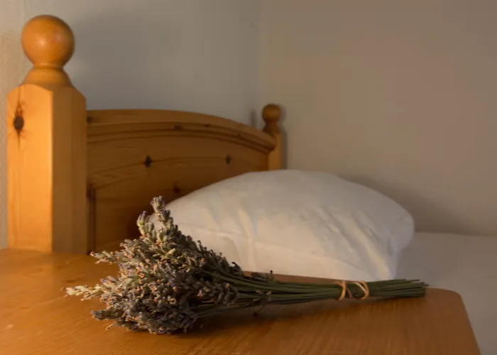 Ducky's Restaurant | Events | Szálloda 3*