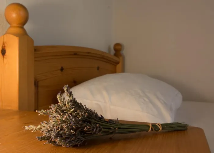 Szálloda Ducky's Restaurant | Events | 3*